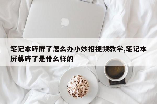 笔记本碎屏了怎么办小妙招视频教学,笔记本屏幕碎了是什么样的