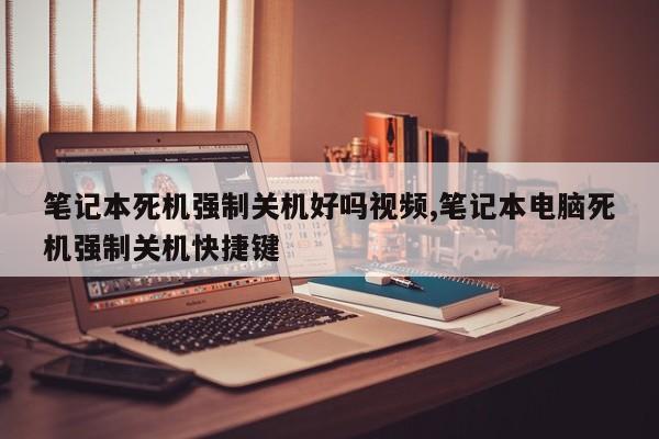 笔记本死机强制关机好吗视频,笔记本电脑死机强制关机快捷键