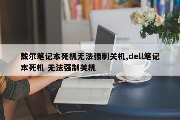 戴尔笔记本死机无法强制关机,dell笔记本死机 无法强制关机