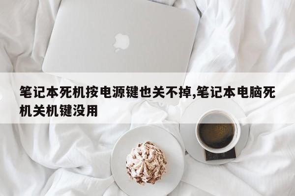 笔记本死机按电源键也关不掉,笔记本电脑死机关机键没用