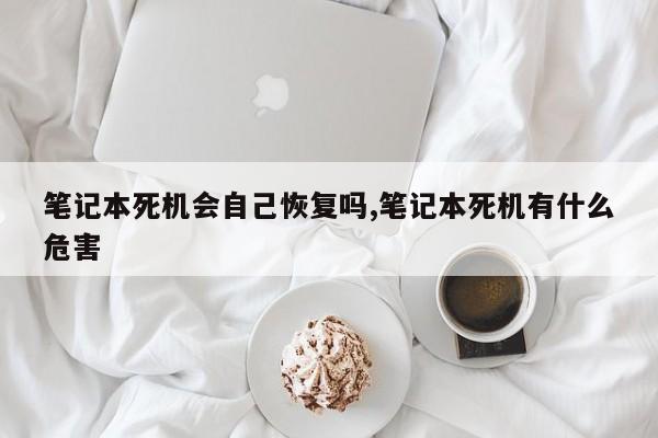 笔记本死机会自己恢复吗,笔记本死机有什么危害