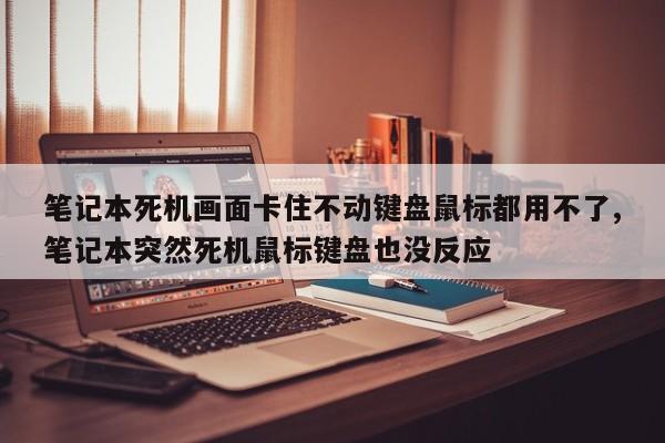 笔记本死机画面卡住不动键盘鼠标都用不了,笔记本突然死机鼠标键盘也没反应