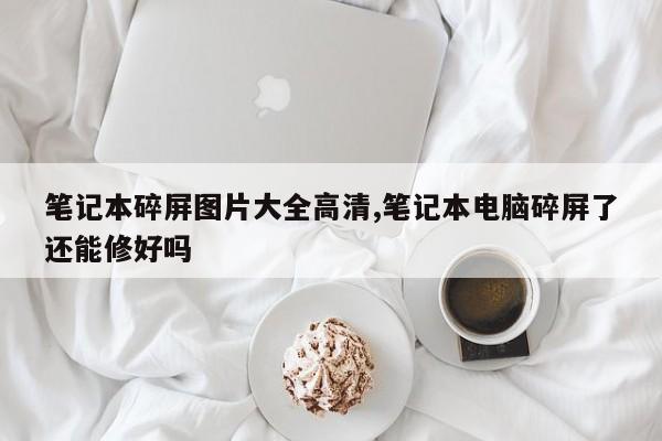 笔记本碎屏图片大全高清,笔记本电脑碎屏了还能修好吗