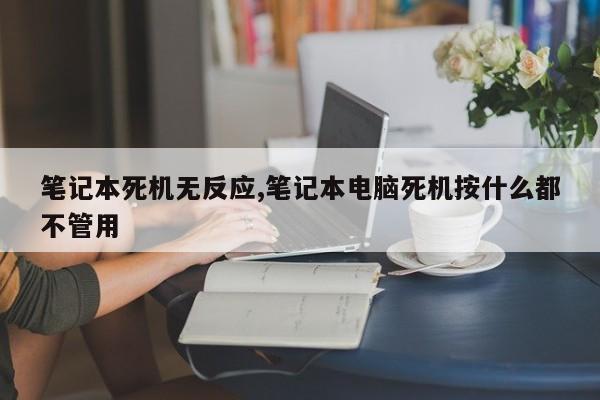 笔记本死机无反应,笔记本电脑死机按什么都不管用