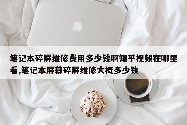 笔记本碎屏维修费用多少钱啊知乎视频在哪里看,笔记本屏幕碎屏维修大概多少钱